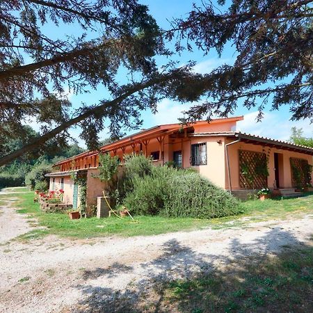 La Dimora Degli Etruschi Hostel Civitella Cesi Εξωτερικό φωτογραφία